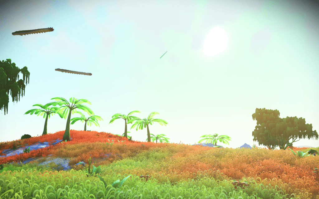Pirate's Cove
